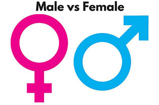 Female VS Male