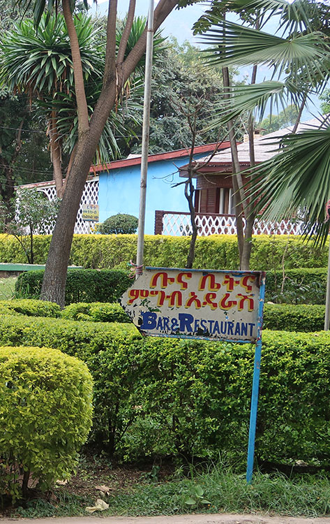 Birding/ Bird watching in Ethiopia with Flamingos Tours Ethiopia - Wendo Genet Wabe Shebelle Resort Hotel