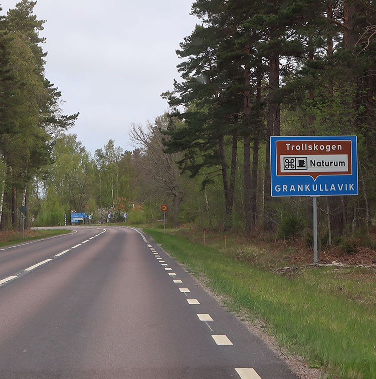 Birding/ Bird watching on Öland - Naturum - Trollskogen