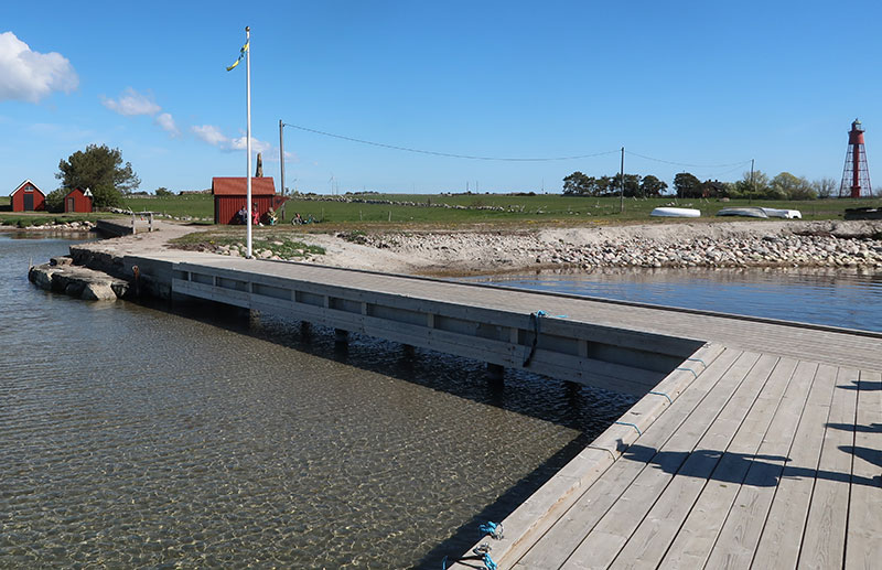 Birding/ Bird watching on Öland - Kapelludden