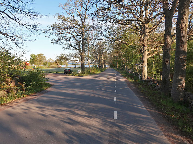 Birding/ Bird watching on Öland - Halltorps Hage