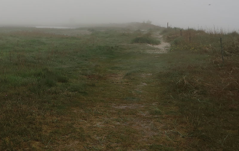 Bird watching at Äspet Nature Reserve in Skåne, Sweden