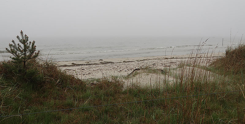 Bird watching at Äspet Nature Reserve in Skåne, Sweden
