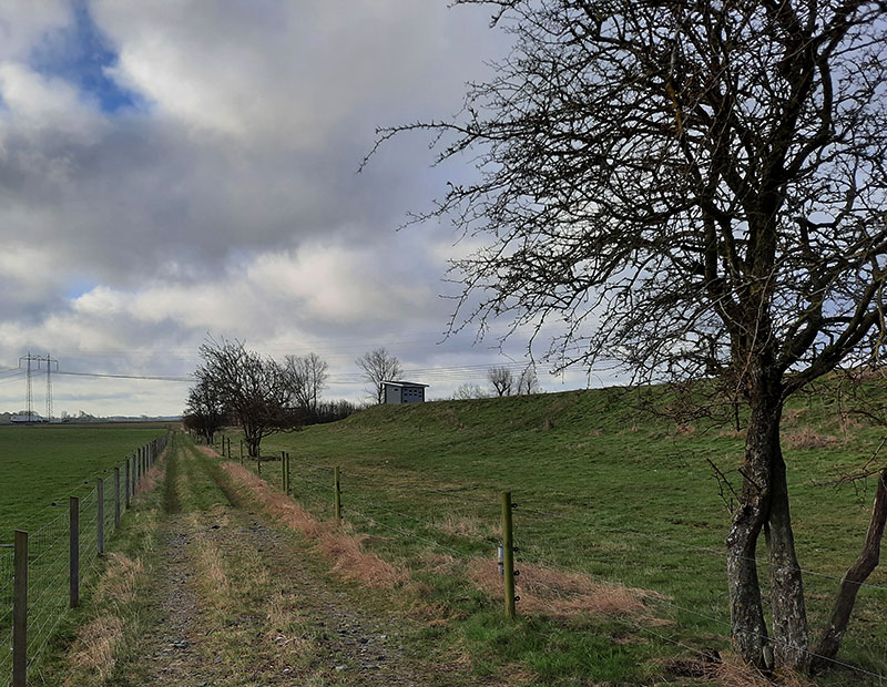 Birding/ Bird watching in Skåne - Hasslarps Dammar