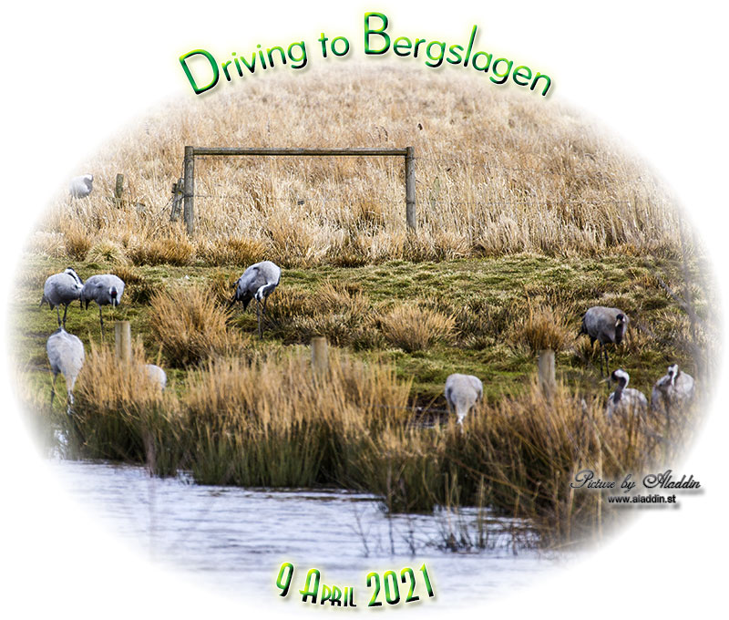 On the road to Bergslagen