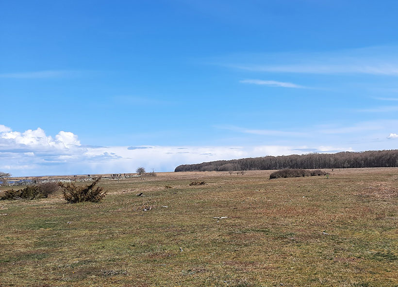Bird watching on Öland - Beijershamn