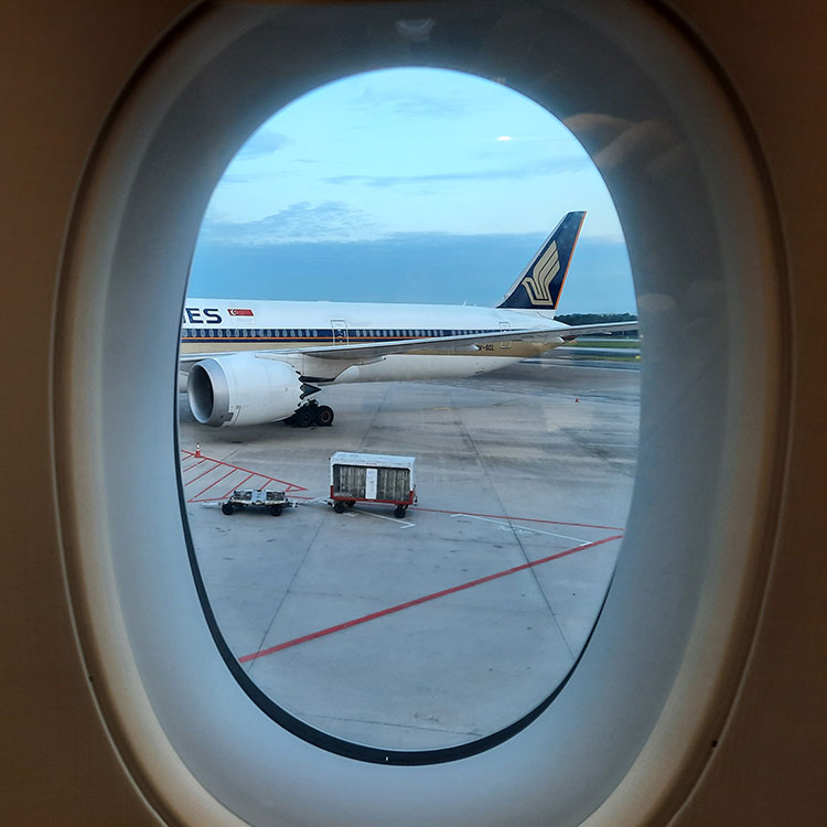 Aladdin's adventure on board Singapore Airlines flight SQ 706