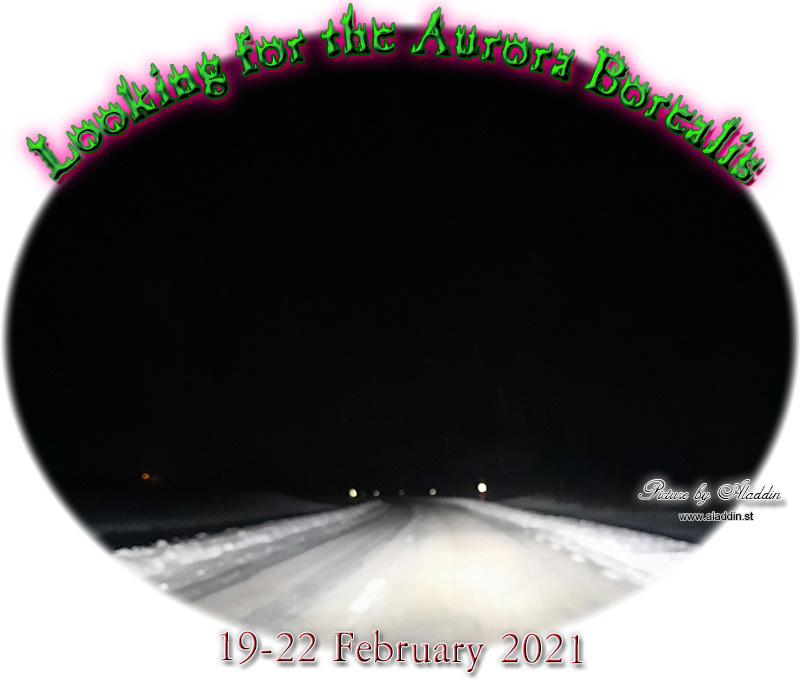 Looking for the Aurora Borealsi in Abisko National Park