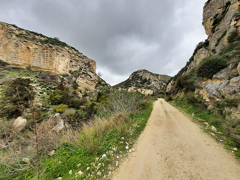 Birding/ Bird watching on Cyprus - Pano Erodes