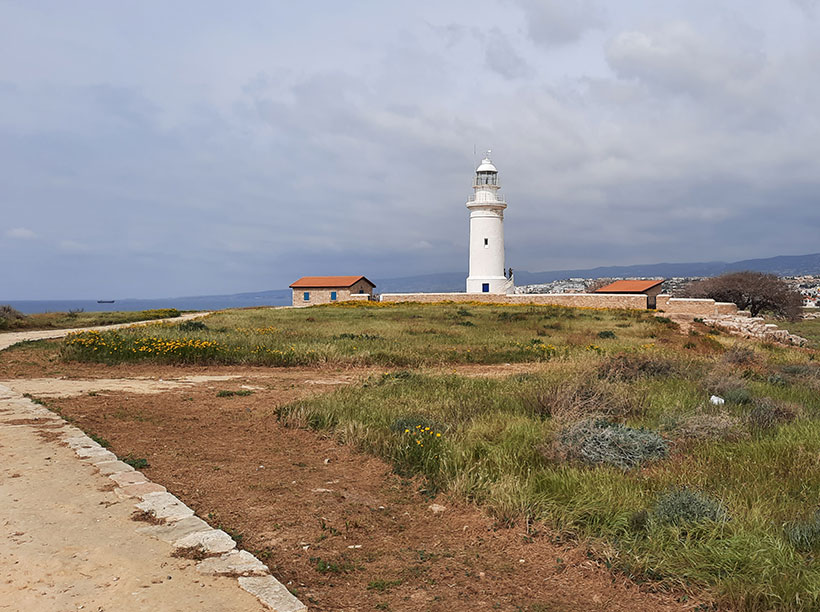 Birding/ Bird watching on Cyprus - Paphos Lighthouse Area