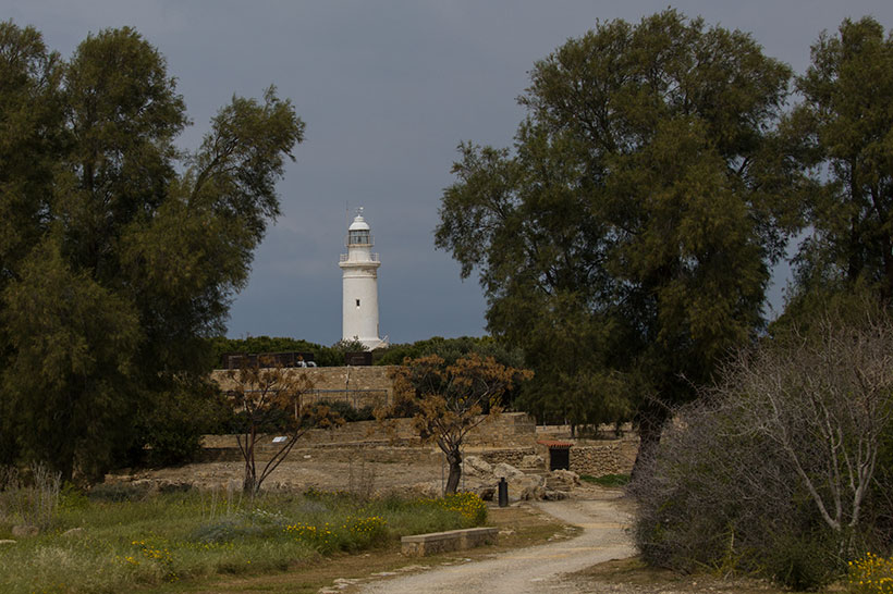 Birding/ Bird watching on Cyprus - Paphos Lighthouse Area