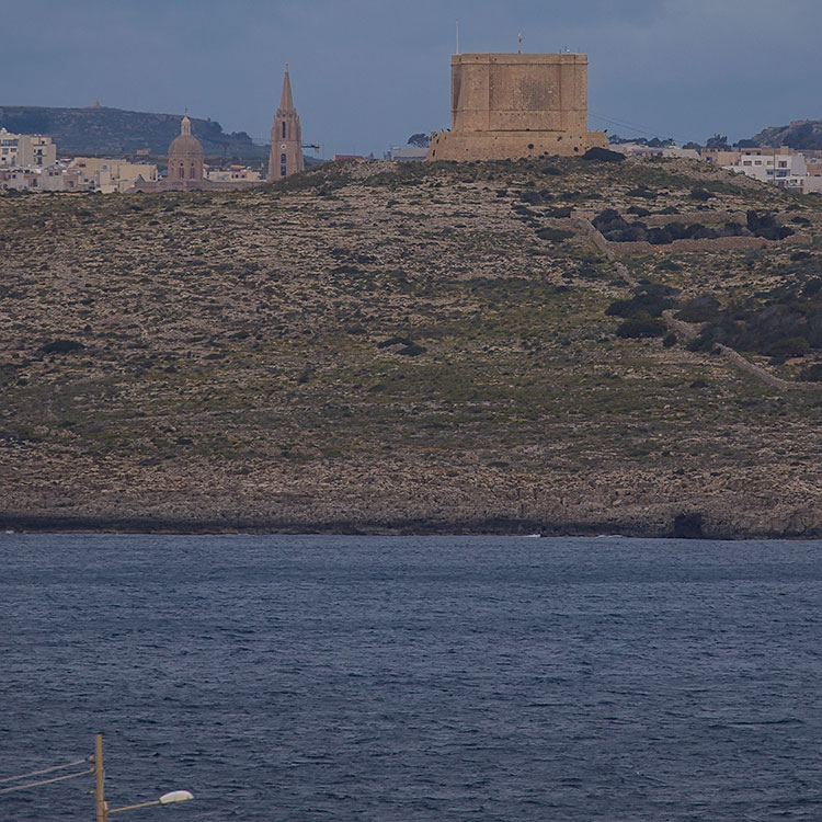 Birding/ Bird watching on Cyprus