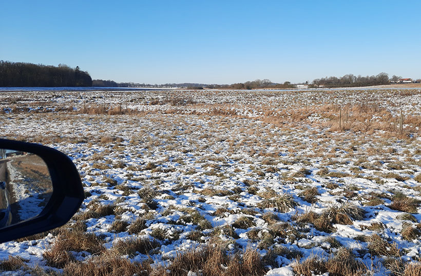 eBird hotspot Rosendals våtmark