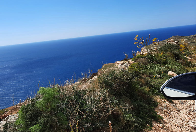 Birding/ Bird watching on Cyprus - Dingli Cliffs