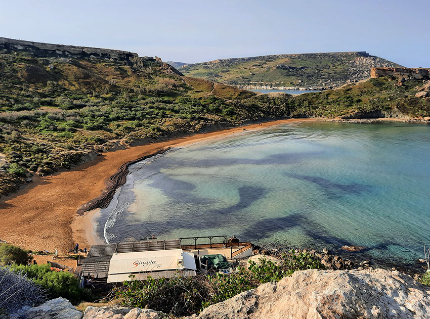 Birding/ Bird watching on Malta - Ghajn Tuffieha