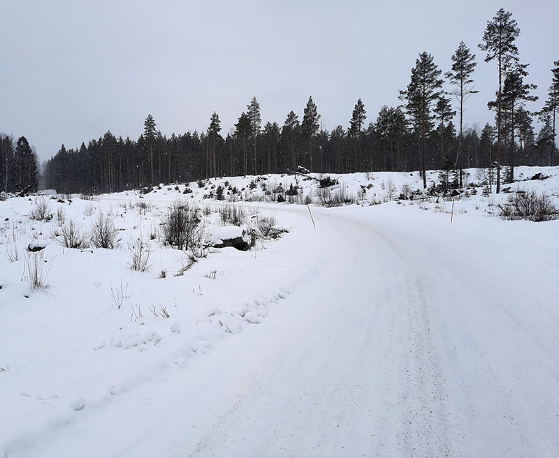 Bird watching in Bergslagen