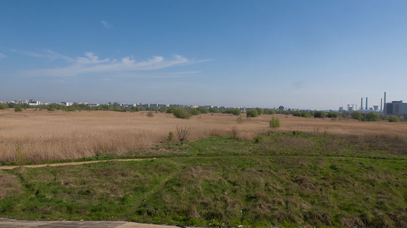 eBird hotspot: Parcul Natural Vacaresti