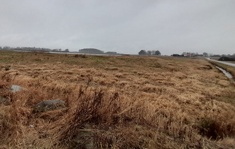 Bird watching at eBird hotspot: Rosendals Våtmark