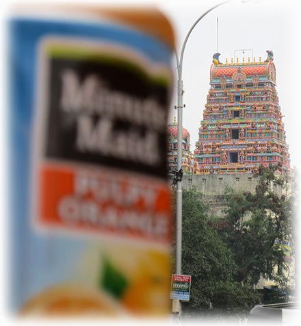 Aladdin's adventure with Minute Maid in Chennai/ Madras