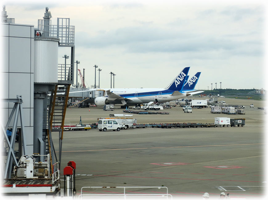 All Nippon Airway flight NH 806