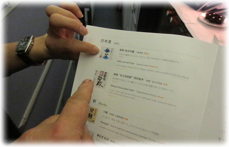 Aladdin's adventure on board ANA's flight 951 from Narita, Tokyo to Suvarnabhumi, Bangkok