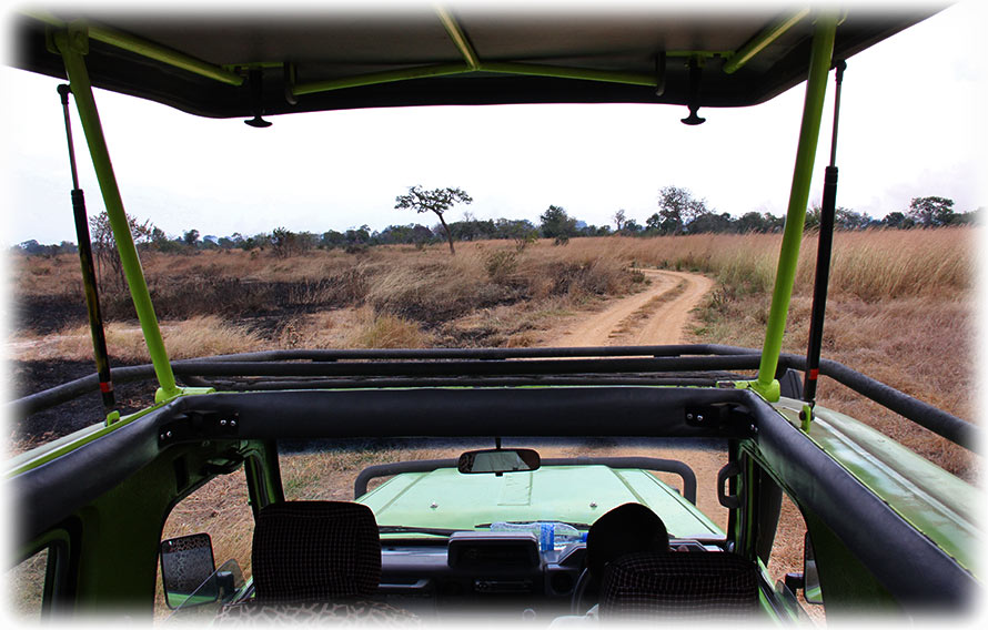 Aladdin's adventure with Authentic Tanzania Safaris in Mikumi National Park