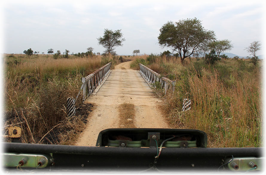 Aladdin's adventure with Authentic Tanzania Safaris in Mikumi National Park