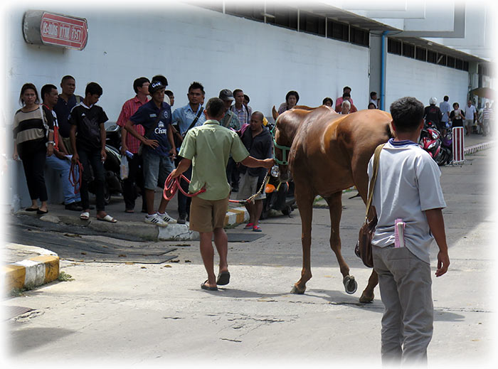 The Royal Turf Club in Bangkok