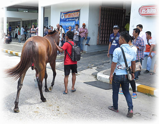 The Royal Turf Club in Bangkok