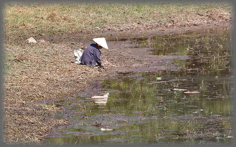 Aladdin's adventure in Pakse - Vat Phou - Visa run to Laos