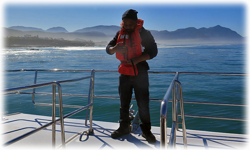 Whale watching with Southern Right Charters in Hermanus