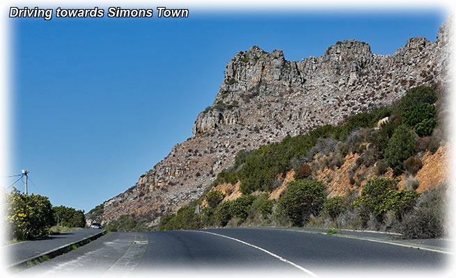 Tour to Cape Point with African Eagle Day Tours