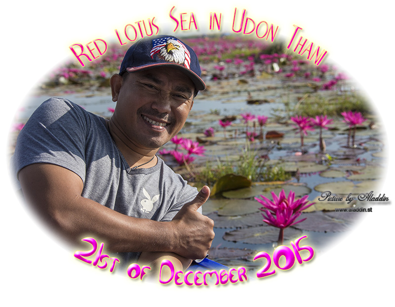 Red Lotus Sea/ ทะเลบัวแดง in Udon Thani