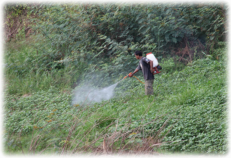 Aladdin's adventure with The Vat Phou Mekong cruise on Mekong River