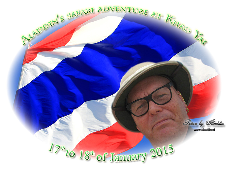 Aladdin's adventure in Khao Yai National Park
