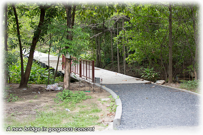Birding/ Bird watching in Bangkok