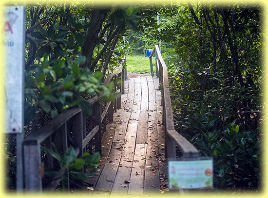 Bang Pu Nature Education Centre's Bang Pu Nature Reserve