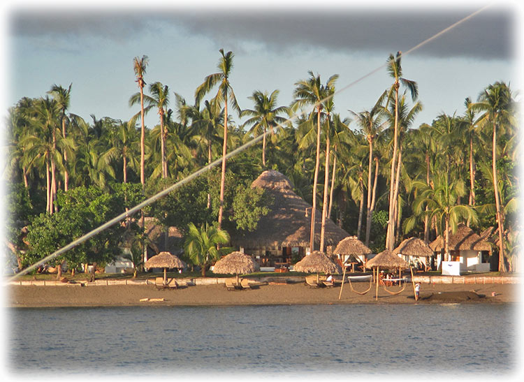 Whale shark adventure in Donsol, Philippines