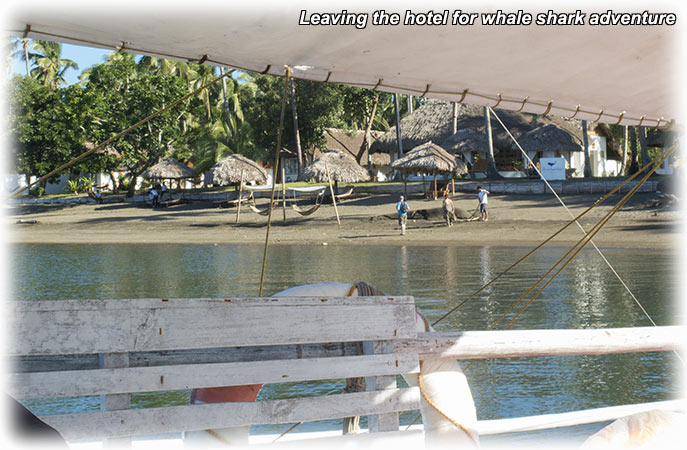 Elysia Beach Resort in Donsol, Philippines