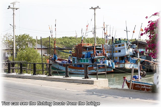 Birding/ Bird watching in Laem Pak Bia/Pak Thale, Thailand