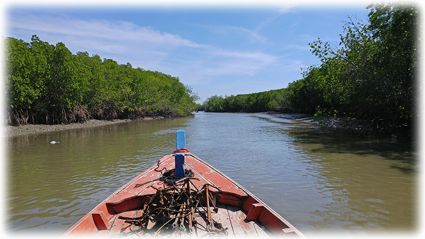 Laem Phak Bia--Canal