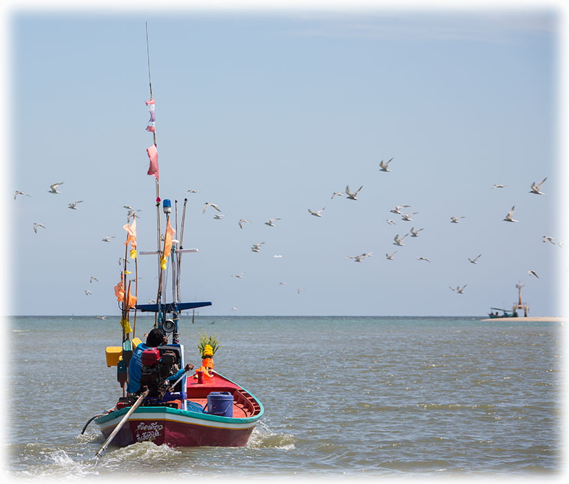 Laem Pak Bia fishing harbour