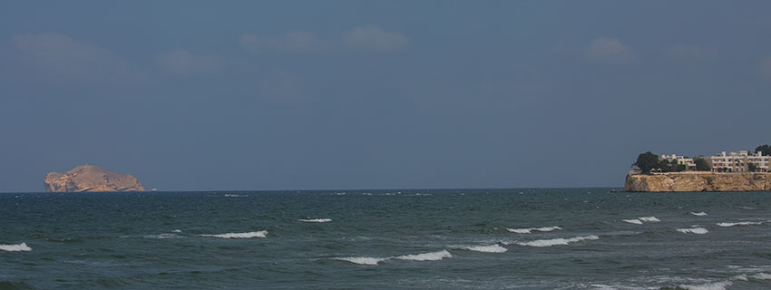 Birding/ Bird watching in Oman - Qurum Beach