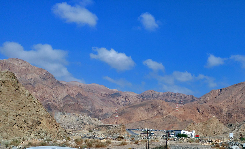 Birding/ Bird watching in Oman