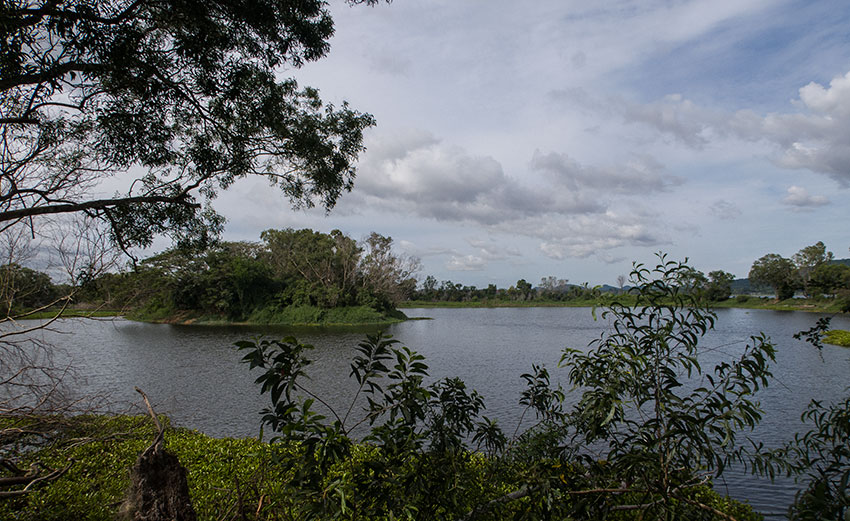 Birding/ Bird watching at Bang Phra Non-hunting Area - Noen Wang Hin Forest Protection Unit, Thailand