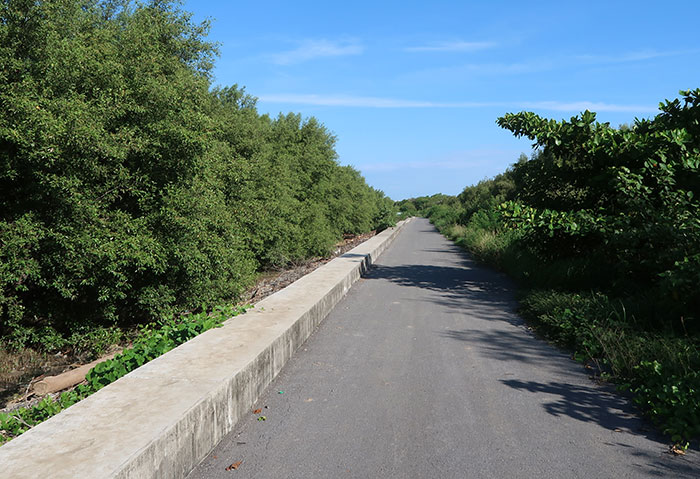 Bird watching / birding at Bang Pu