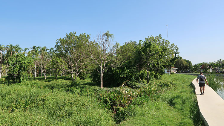 Bird watching at Wat Chaloem Phrakiat Worawihan and Chaloem Golden Jubilee Park - วัดเฉลิมพระเกียรติวรวิหาร, อุทยานเฉลิมกาญจนาภิเษก