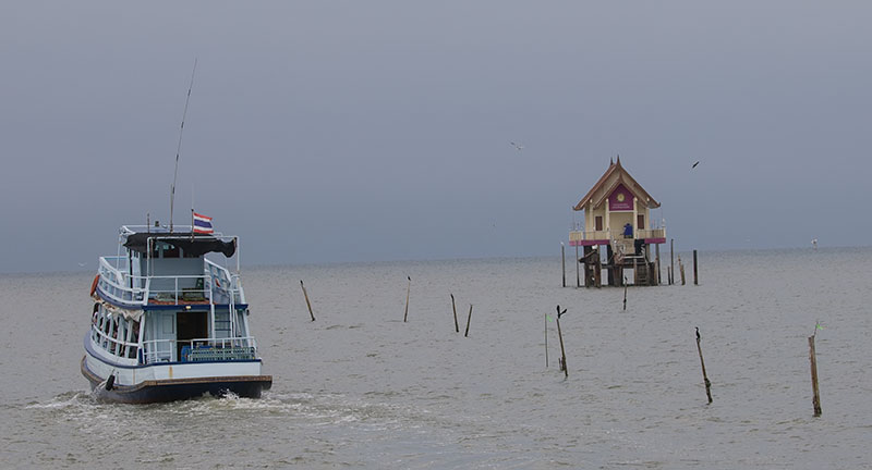 Bird / Whale watching with Wild Encounter Thailand