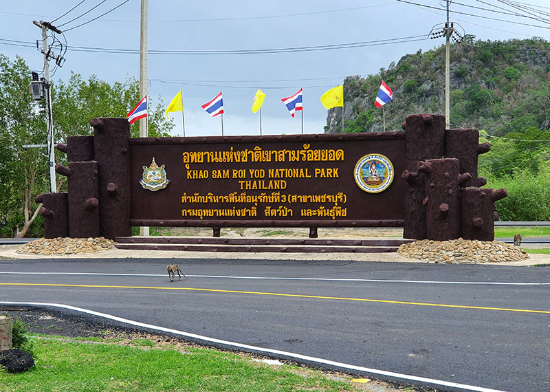 Bird watching - Khao Sam Roi Yot NP--headquarters vicinity, Thailand