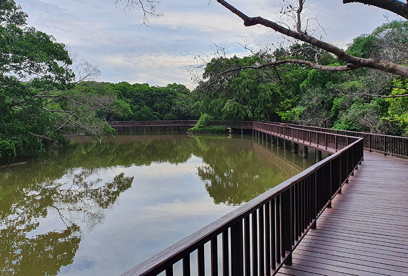 Bird watching at Sri Nakhon Khuean Khan Park, Bangkok